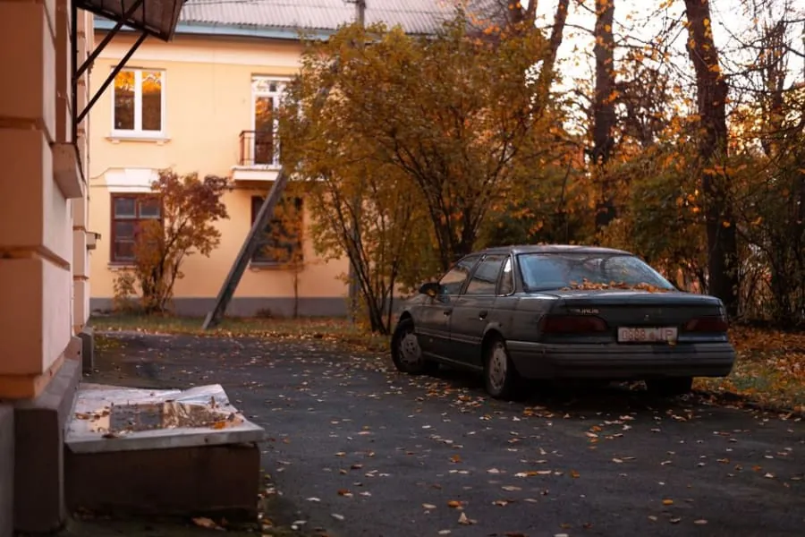 Autumn leaves on a residential driveway