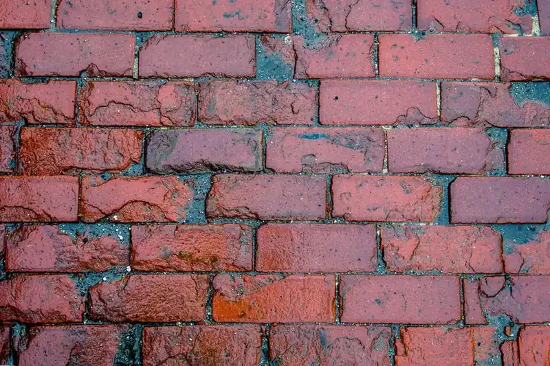 The base of a wet brick house wall showing the mortar course where a damp proof course sits