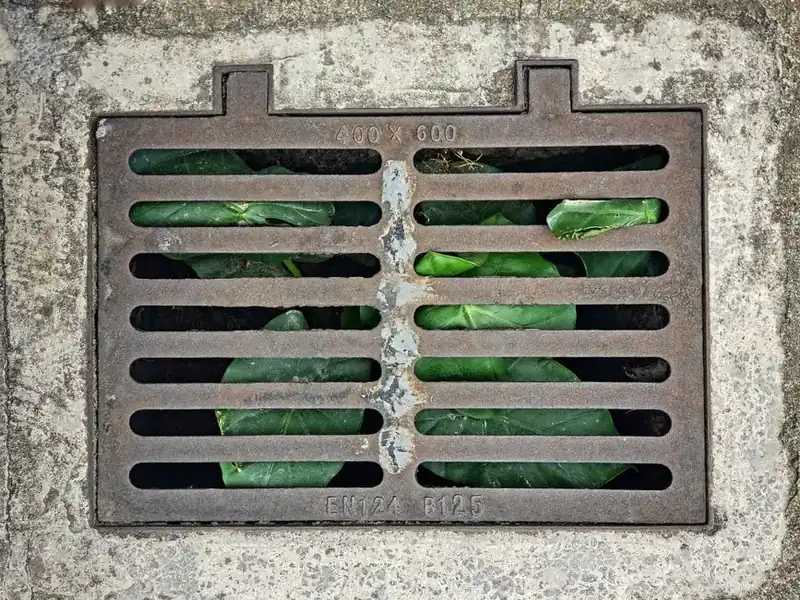 A metal drainage grate set into a hard surface