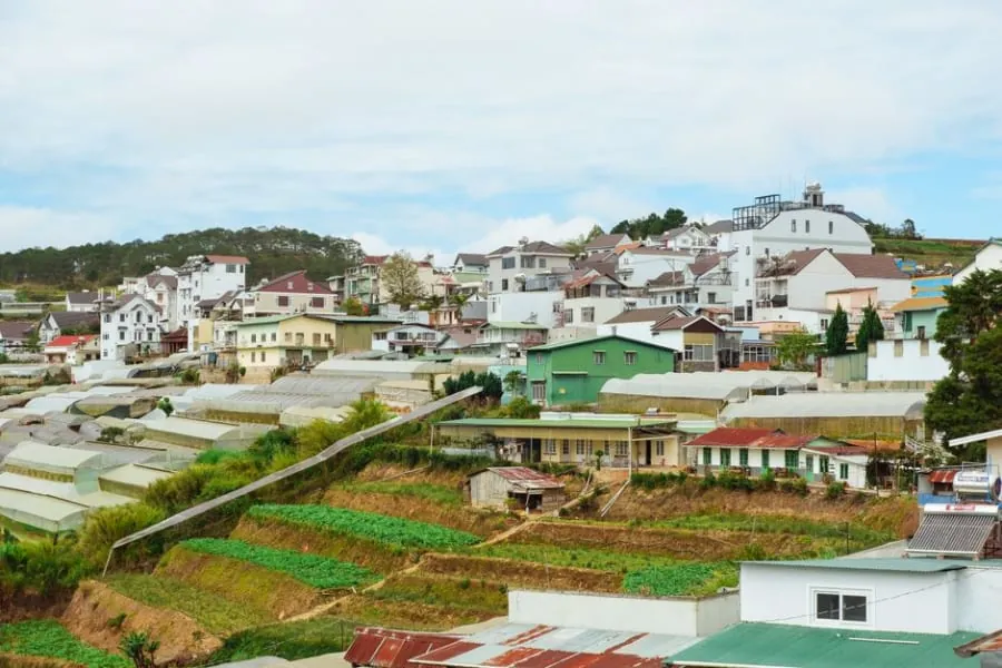 Terraced houses climbing a steep street