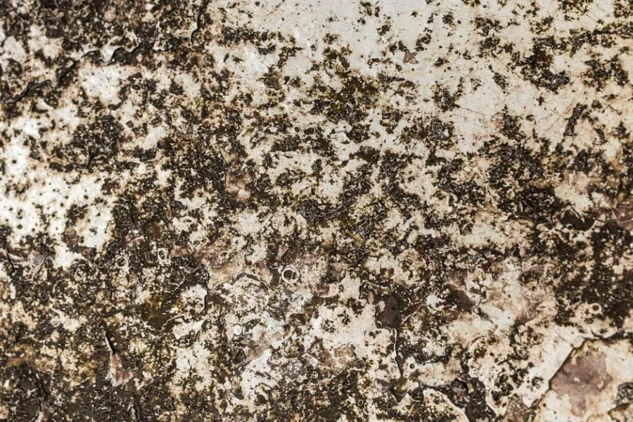 An oil stain on a driveway