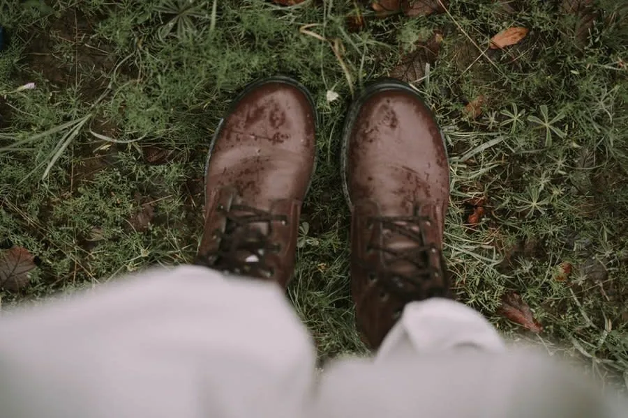 Rain soaking into grass and soft ground in a garden