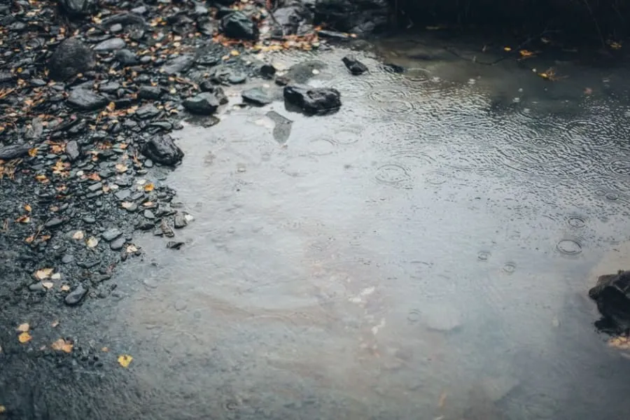 Rain soaking into a permeable driveway