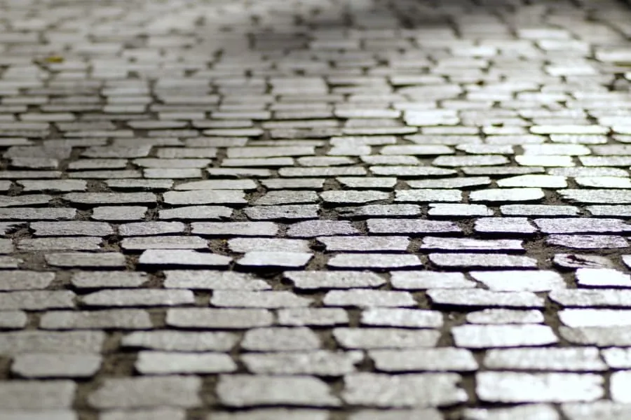 Edge restraints along the border of a driveway
