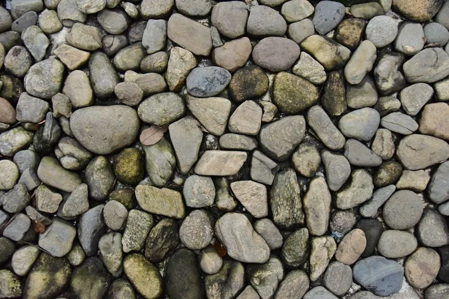 Smooth rounded pebbles forming a textured surface