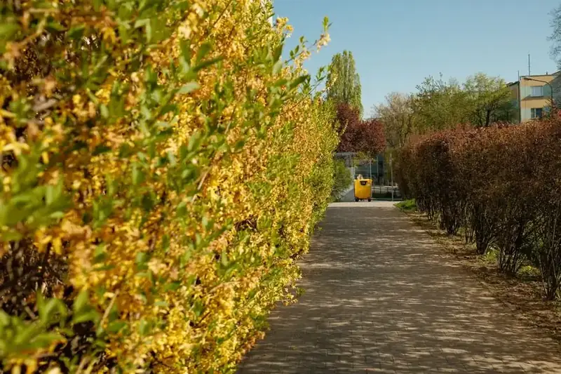 A curving garden pathway alongside planting at a Pennine-edge property