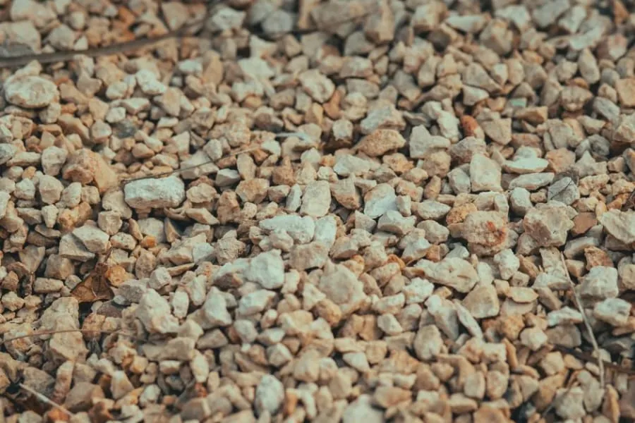 A gravel path in a small garden
